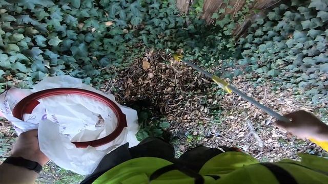 Systemic neglect and the plastic world of tomorrow смотреть онлайн