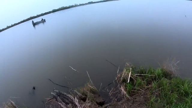 На что поймать крупного сома? смотреть онлайн