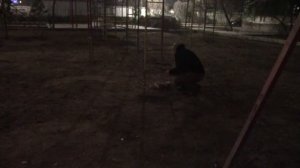 Запускаем фейерверки, салюты на Новый год