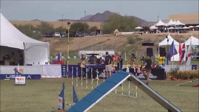 2018 Cynosports World Games Performance Grand Prix Championship! смотреть онлайн