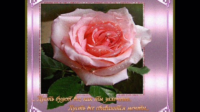 МИЛЫМ ЖЕНЩИНАМ смотреть онлайн