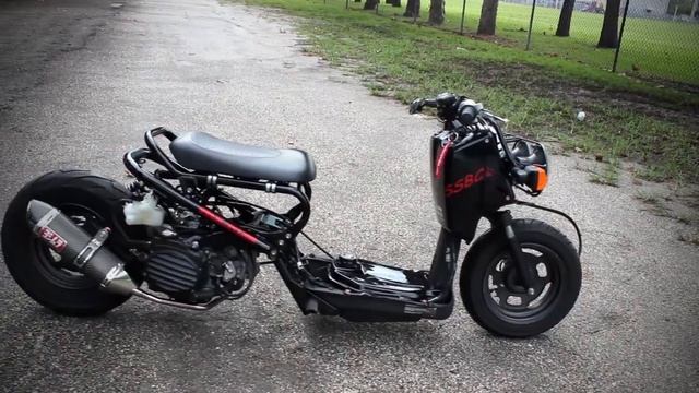 Clean Honda Ruckus Planet Ruckus Member: Bones смотреть онлайн