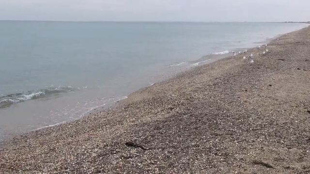 Крым, г. Саки, санаторий Танжер, пляж санатория, 10.2015