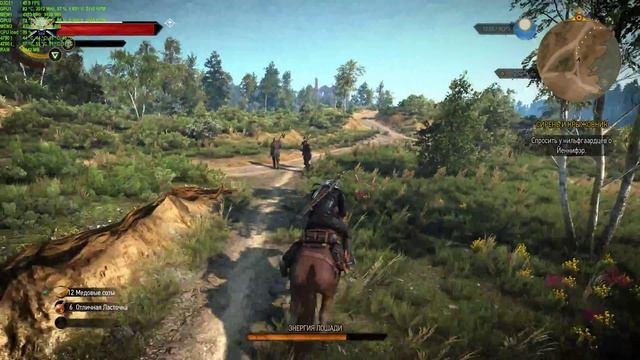 The Witcher 3 (4к, GTX 1070 SLI) Test смотреть онлайн