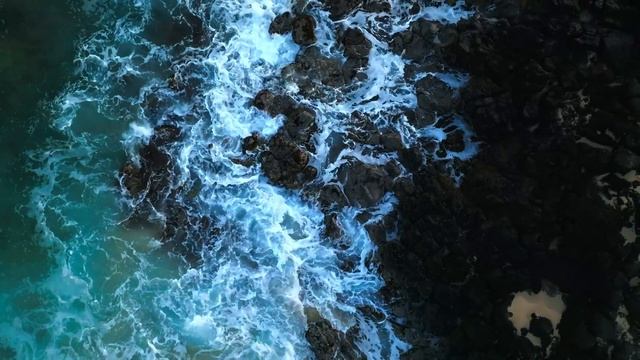 MOST LUCID COLORS | 8K HDR DOLBY VISION™ 120FPS смотреть онлайн