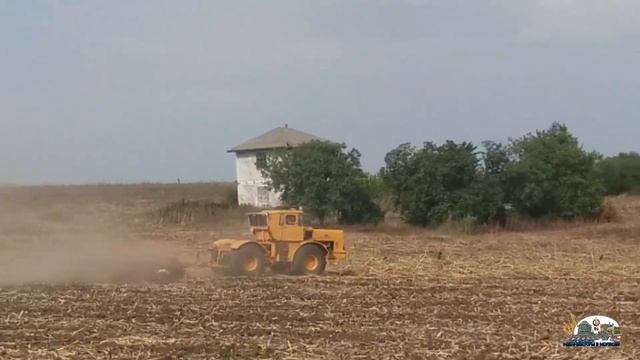 1000 подписчиков,Как начиналось Механизаторы в Молдове смотреть онлайн