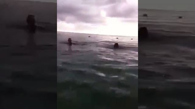 playa juan dolio republica dominicana смотреть онлайн