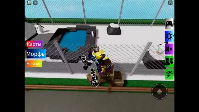 ФЛОППА КАРТА ЗООПАРКА 21 НОВЫХ МОРФОВ [?NEW] Find The Floppa Morphs