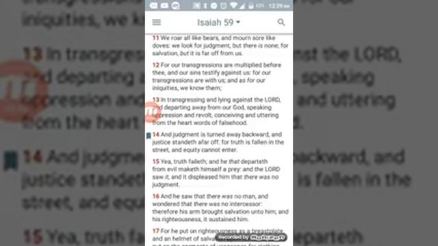 False judgment смотреть онлайн