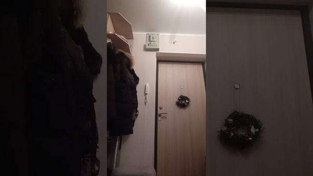 5 января 2023 г. звук домофон цифрал ссд 2094 трубка визит укп 7м смотреть онлайн