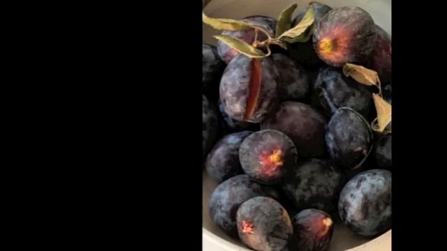 Barbara Barry discusses her inspirations behind "Barbara Barry: Around Beauty" смотреть онлайн