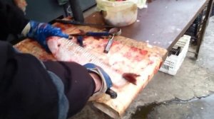 Чистка и разделка рыбы ( пиленгас )