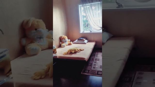 Снять дом на сутки смотреть онлайн