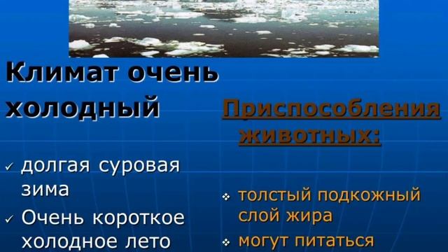 Экологические системы. Глеб Суслов. смотреть онлайн