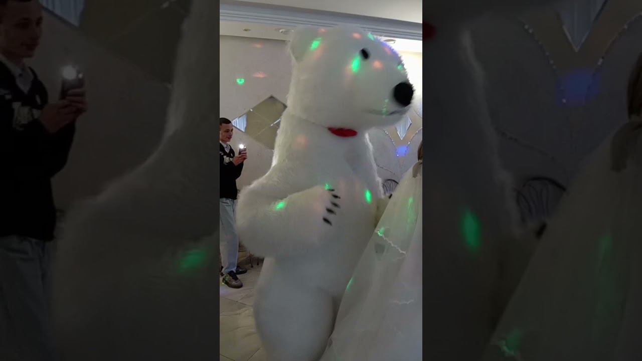 мишка пляшет смотреть онлайн