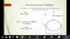 Акустика | Физика