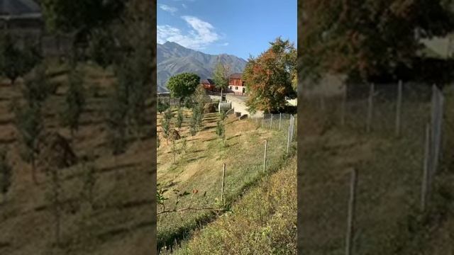 Аслан Абдулаев /Дех ненах лаьц хаза хьехам? смотреть онлайн