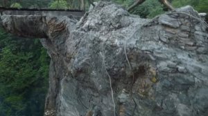 Легенда о цветке-близнеце 1 сезон 23 серия