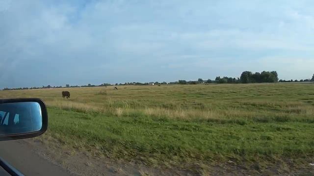 Купили бакелитовые бусы во Львове смотреть онлайн