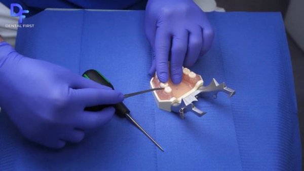 Люксаторы Directa - мастерство в каждом движении