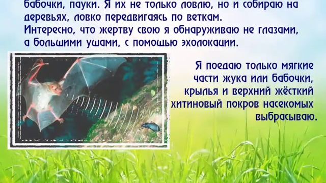 Бурый Ушан итог смотреть онлайн
