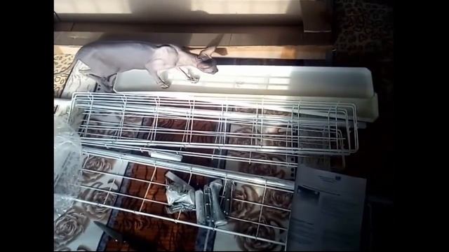 Как разместить Рассаду Цветы Саженцы дома Стеллаж Полка flower rack Красивые оконные полки shelve смотреть онлайн