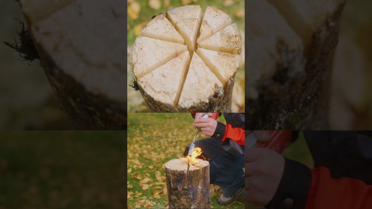 Бензопила Ресанта БП-4516 смотреть онлайн