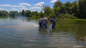 Чемпионат КУБКА РОССИИ по судомодельному спорту в классе скоростных кордовых моделей