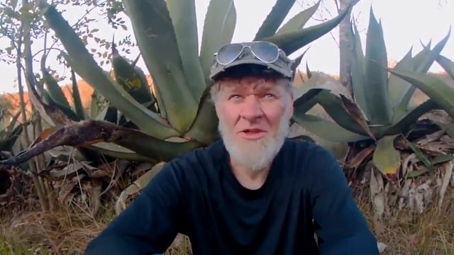 Мексика. Штат Идальго. Немного об автостопе. Часть 53. смотреть онлайн