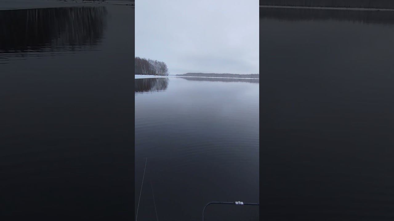 Рыбалка на спиннинг.Первый день весны.Последний лед. #рыбалка #shortvideo #fishing смотреть онлайн