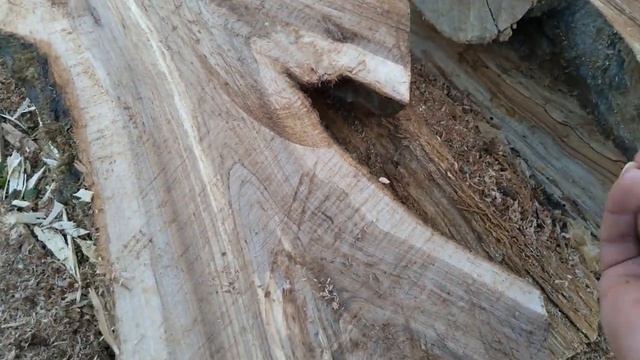 Слэбы из рябины.