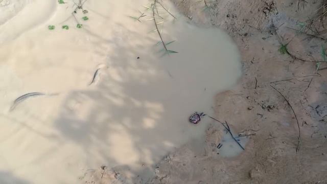 Cambodia traditional fishing- Amazing catch fish in natural pond смотреть онлайн