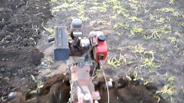 Мотоблок ФОРТЭ мотоблочим огород, как правильно мотоблочить огород