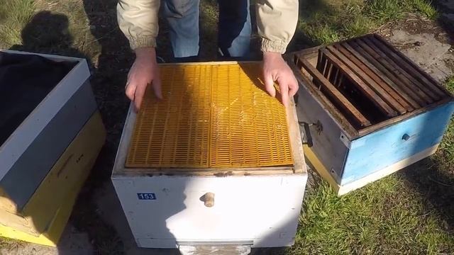 Борьба с роением пчел Лучший на 99% метод Демари смотреть онлайн