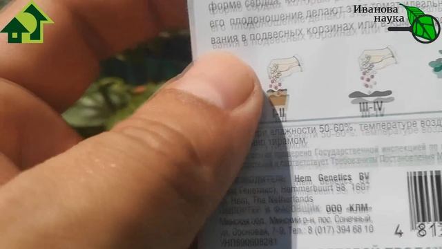 ПОТНЫЕ ТОМАТЫ! КРАСИВО, ВКУСНО и УРОЖАЙНО! Очень модные томаты для всех! Без пасынкования. Гномы. смотреть онлайн