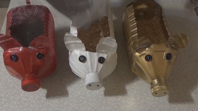 Детский огород на подоконнике в виде поросят. Выращиваем зимой зелень на подоконнике. смотреть онлайн