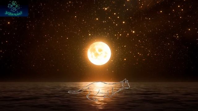 Мистик музыка с шумом моря под луной смотреть онлайн