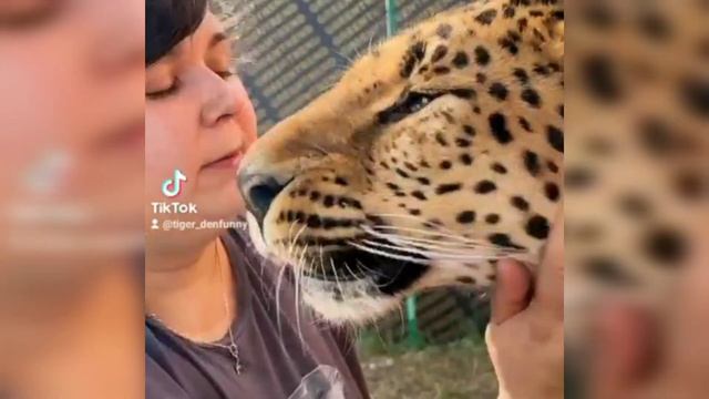 Новые Герд и Яна с лучшим качеством смотреть онлайн