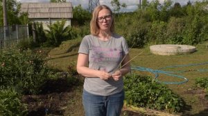 ОПОРА для КЛУБНИКИ // Чтобы ягоды не лежали на земле