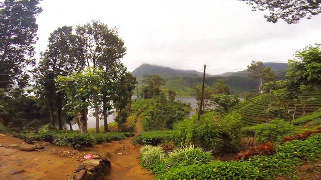 village смотреть онлайн