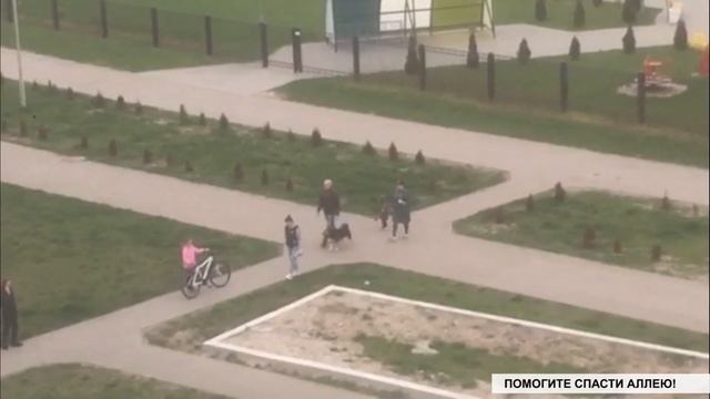 Спасти аллею: почему в Радужном гибнут туи смотреть онлайн