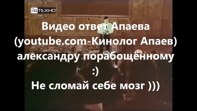 Как ответить человеку (недалёкому человеку, чтобы у него взорвался мозг) смотреть онлайн