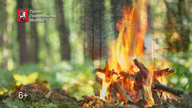 Берегите природу от пожара