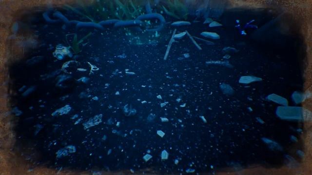 The Shore -2- ДРУГОЙ МИР [Прохождение на русском] смотреть онлайн