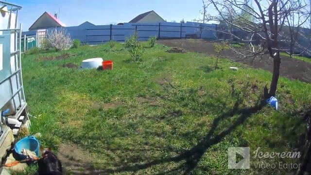 ВЛОГ Обязательно в деревню к родителям/ Катаемся на великах, качаемся на качелях/ Дакки поймал клещ смотреть онлайн