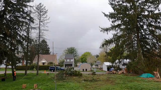 Homestead tree removal_time lapse смотреть онлайн