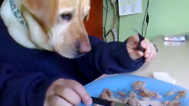 Челобака смотреть онлайн