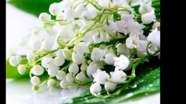 ЛАНДЫШИ ДЛЯ НАТАШИ! смотреть онлайн