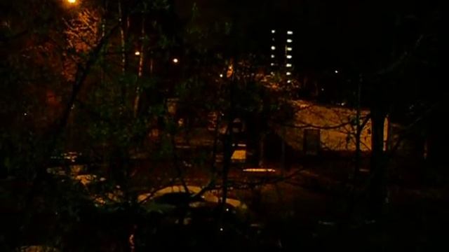 Поющие зимой птицы смотреть онлайн