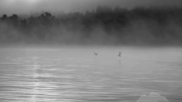 Sad Waltz (Valse triste), Jean Sibelius HD смотреть онлайн